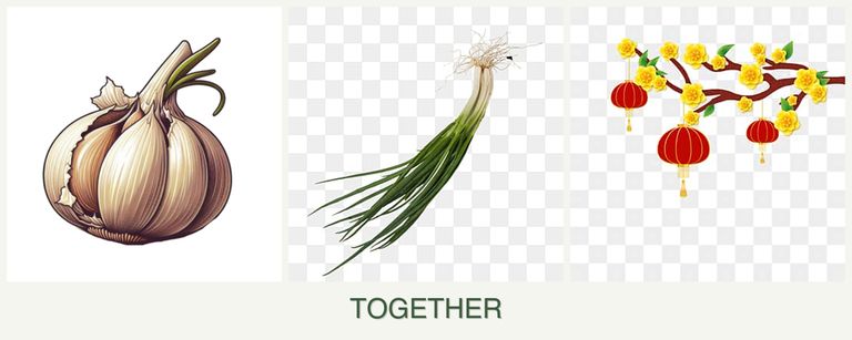 Can you plant garlic, chives and apricots together?