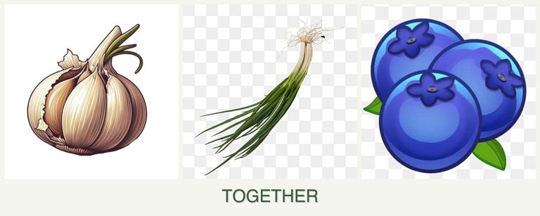 Can you plant garlic, chives and blueberries together?