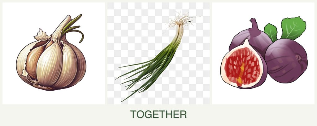 Can you plant garlic, chives and figs together?