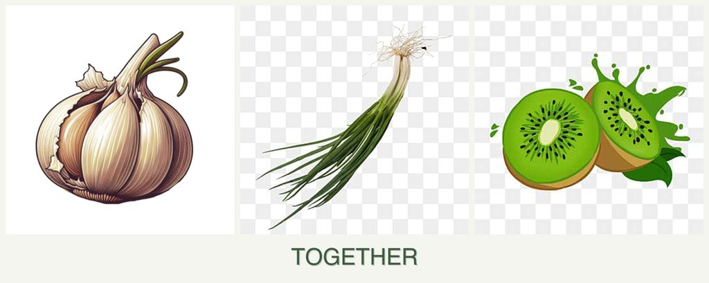 Can you plant garlic, chives and kiwi together?