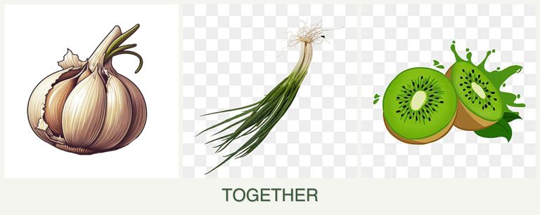 Can you plant garlic, chives and kiwi together?
