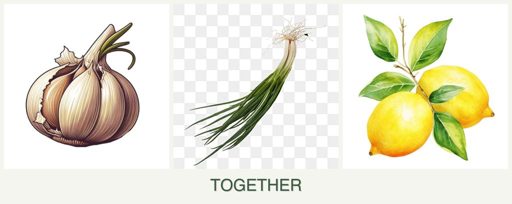Can you plant garlic, chives and lemons together?