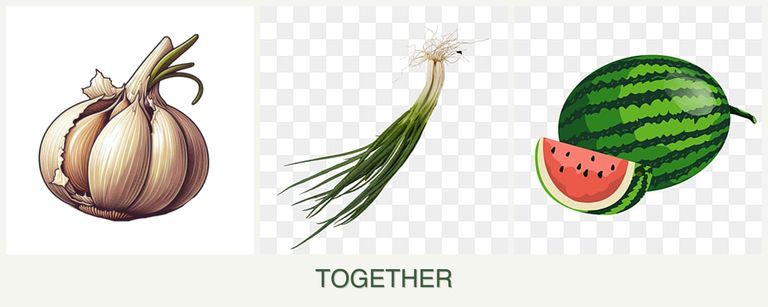 Can you plant garlic, chives and melons together?