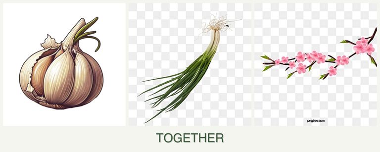 Can you plant garlic, chives and peaches together?