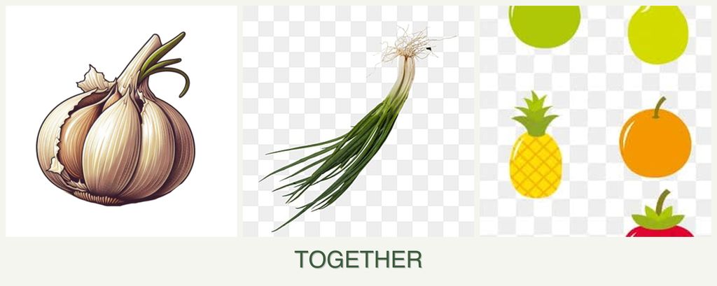 Can you plant garlic, chives and pears together?