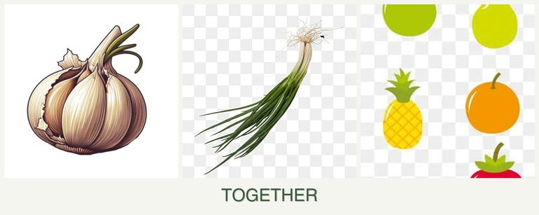 Can you plant garlic, chives and pears together?