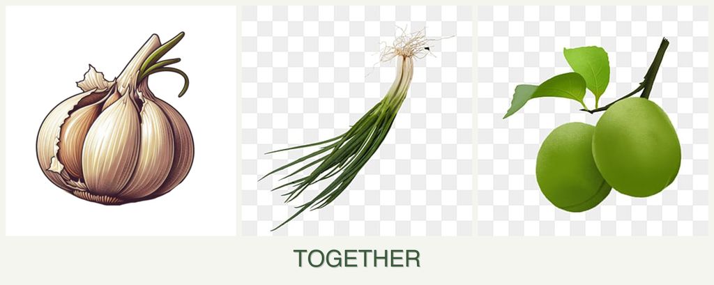 Can you plant garlic, chives and plums together?