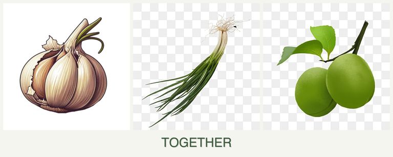 Can you plant garlic, chives and plums together?