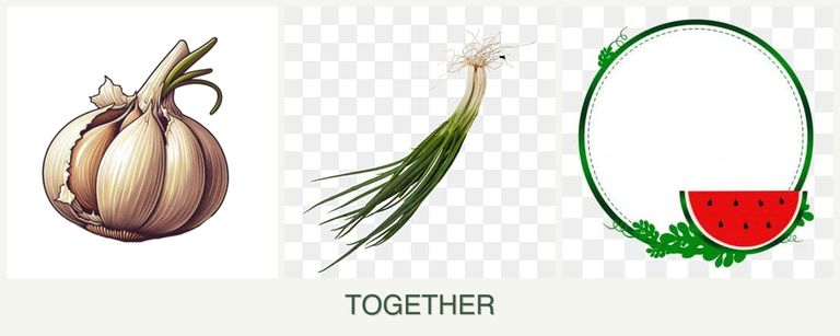 Can you plant garlic, chives and watermelons together?