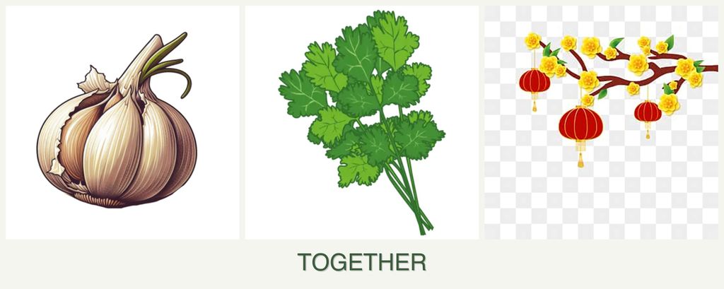 Can you plant garlic, cilantro and apricots together?