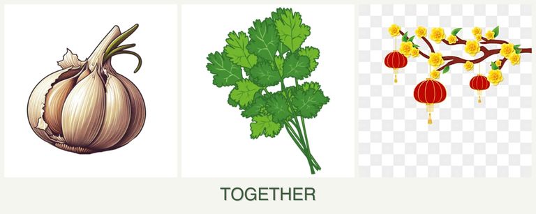 Can you plant garlic, cilantro and apricots together?