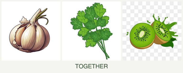 Can you plant garlic, cilantro and kiwi together?