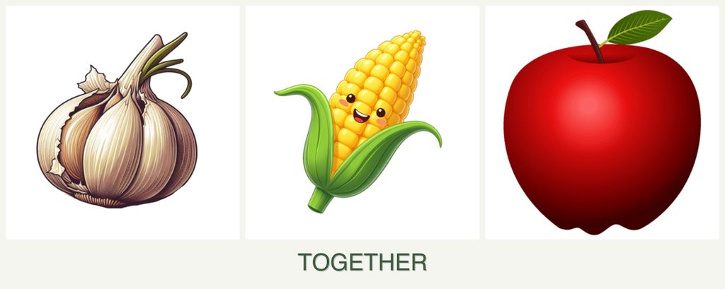 Can you plant garlic, corn and apples together?
