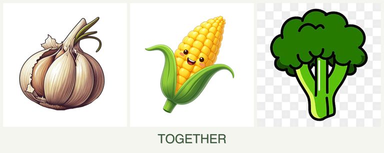 Can you plant garlic, corn and broccoli together?