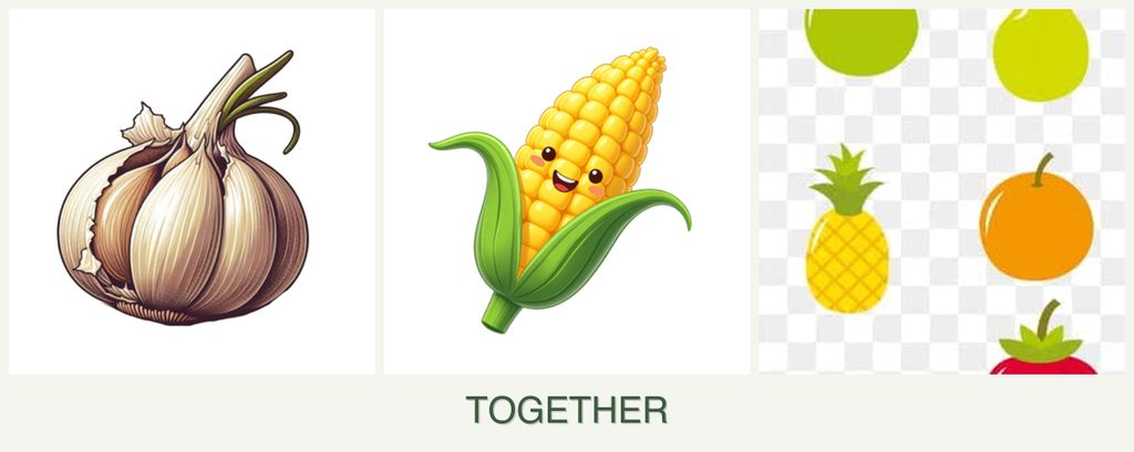 Can you plant garlic, corn and pears together?