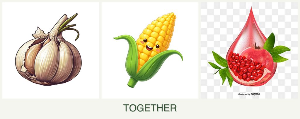 Can you plant garlic, corn and pomegranates together?