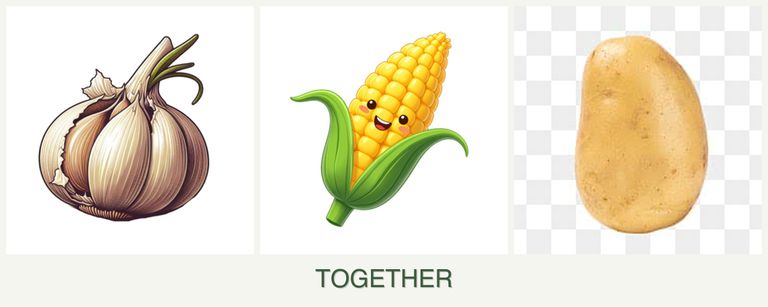 Can you plant garlic, corn and potatoes together?