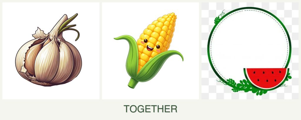 Can you plant garlic, corn and watermelons together?