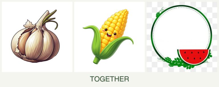 Can you plant garlic, corn and watermelons together?