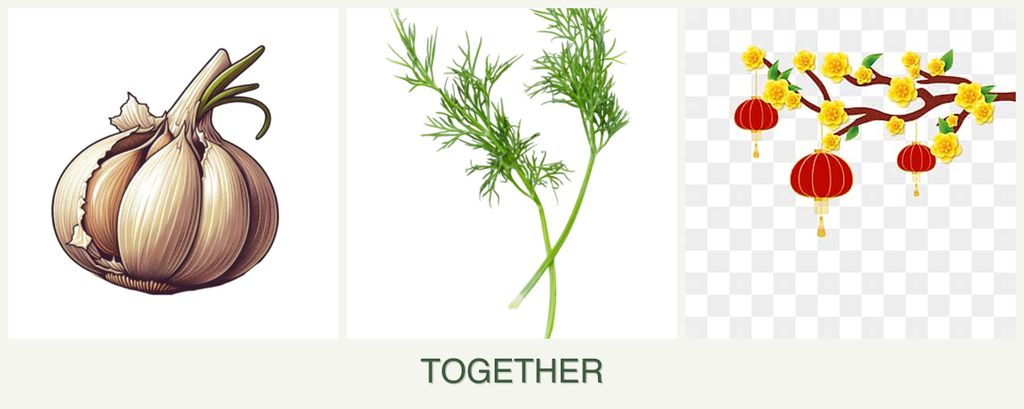 Can you plant garlic, dill and apricots together?