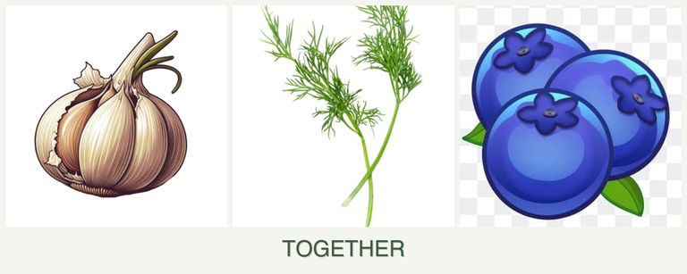 Can you plant garlic, dill and blueberries together?