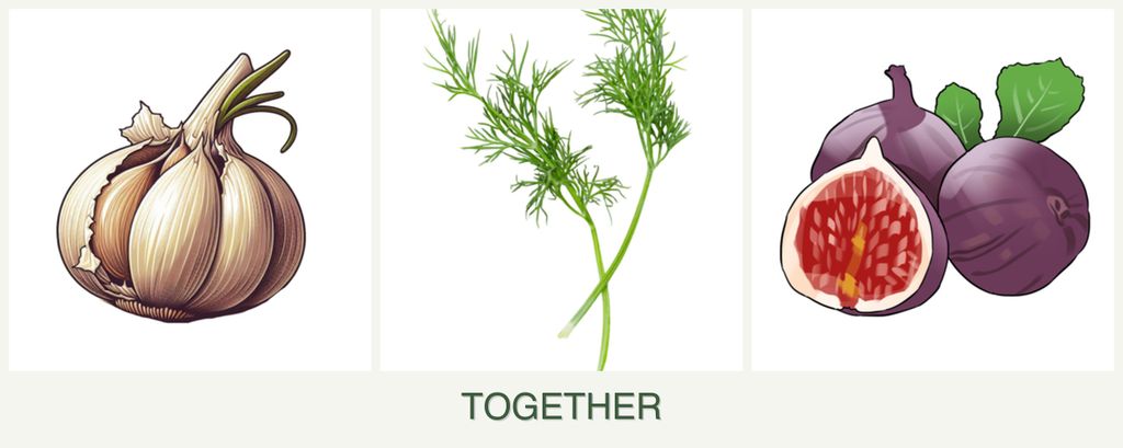Can you plant garlic, dill and figs together?
