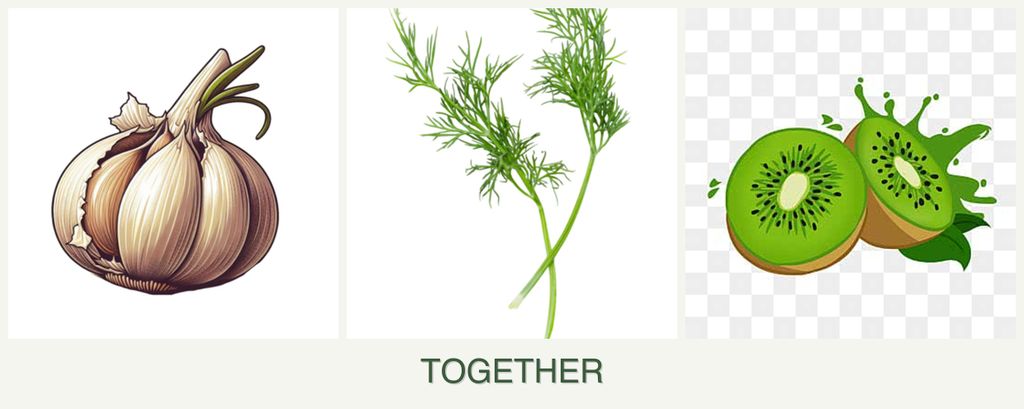 Can you plant garlic, dill and kiwi together?
