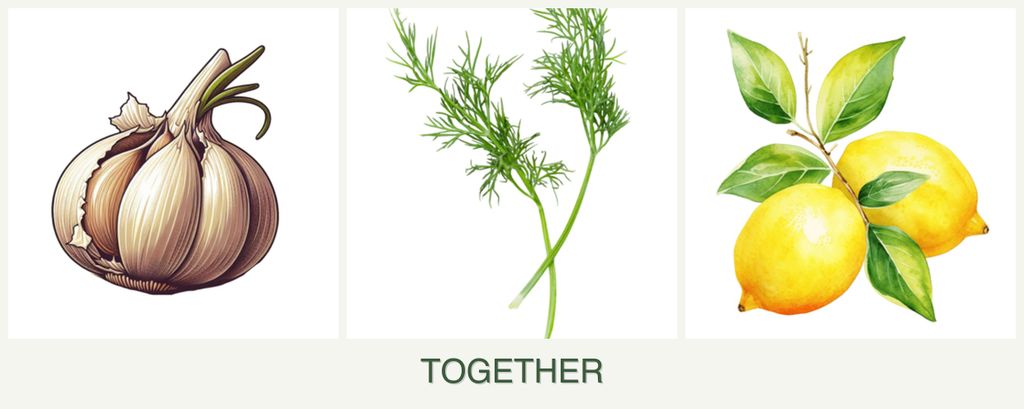 Can you plant garlic, dill and lemons together?