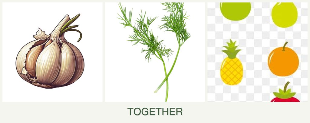 Can you plant garlic, dill and pears together?