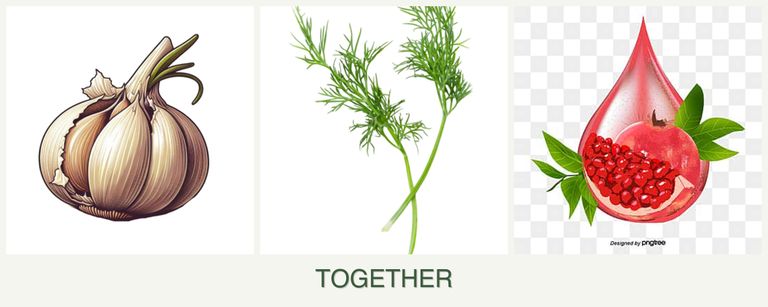 Can you plant garlic, dill and pomegranates together?