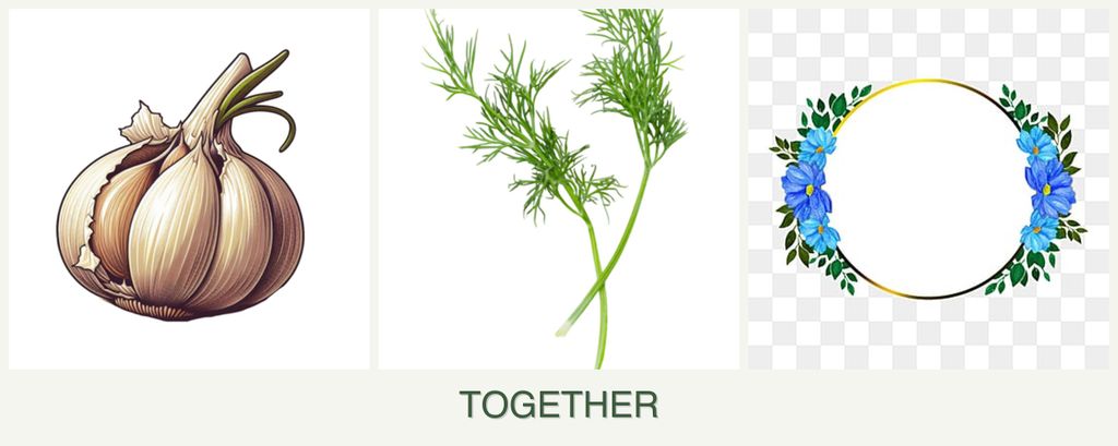 Can you plant garlic, dill and zinnias together?