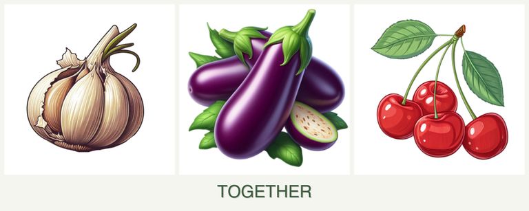 Can you plant garlic, eggplant and cherries together?