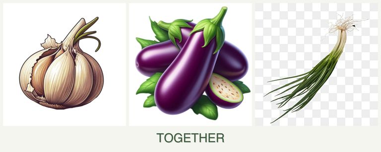 Can you plant garlic, eggplant and chives together?