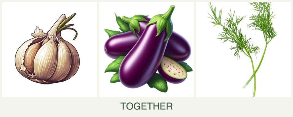Can you plant garlic, eggplant and dill together?