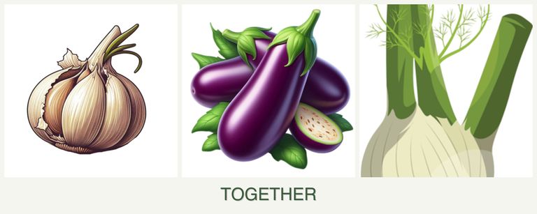 Can you plant garlic, eggplant and fennel together?