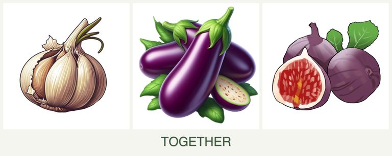 Can you plant garlic, eggplant and figs together?