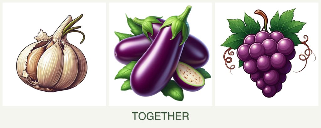 Can you plant garlic, eggplant and grapes together?