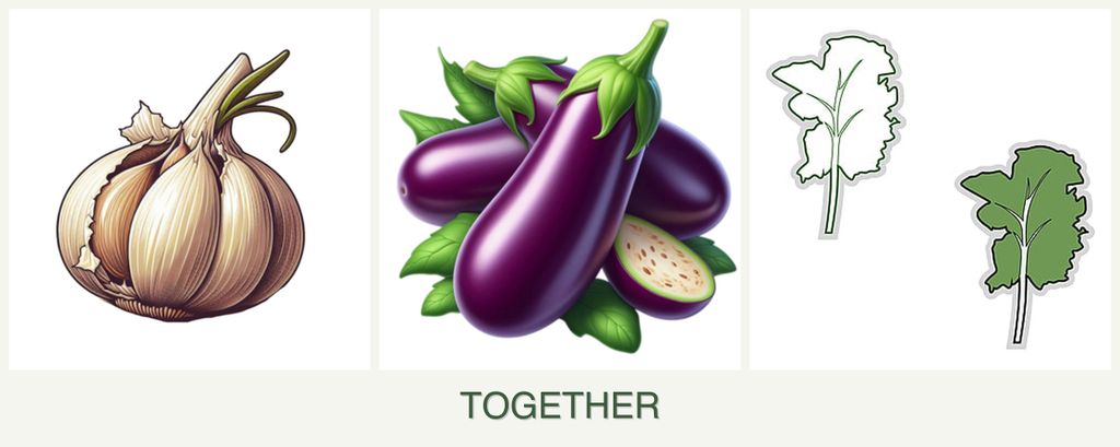 Can you plant garlic, eggplant and kale together?