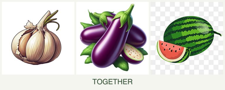 Can you plant garlic, eggplant and melons together?