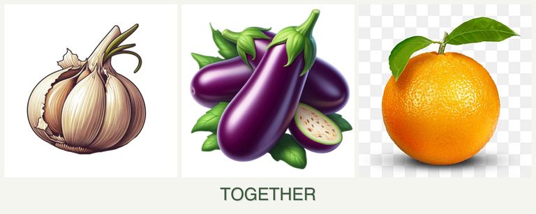 Can you plant garlic, eggplant and oranges together?