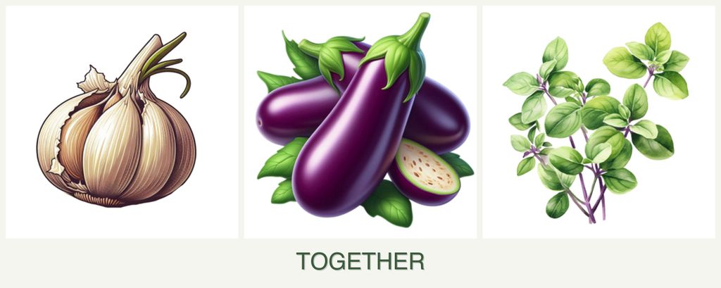 Can you plant garlic, eggplant and oregano together?