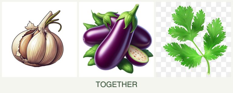 Can you plant garlic, eggplant and parsley together?