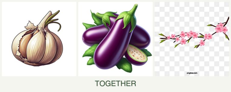 Can you plant garlic, eggplant and peaches together?