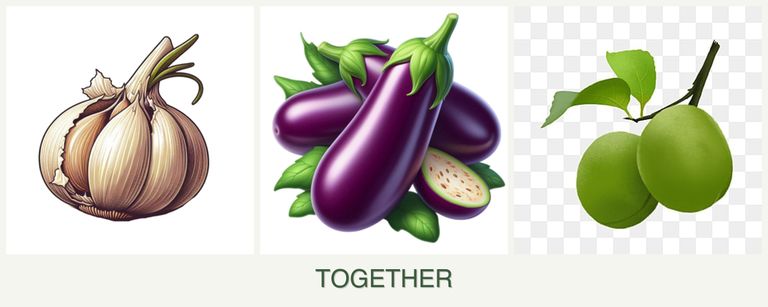 Can you plant garlic, eggplant and plums together?