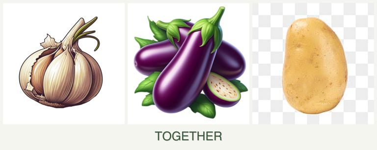 Can you plant garlic, eggplant and potatoes together?