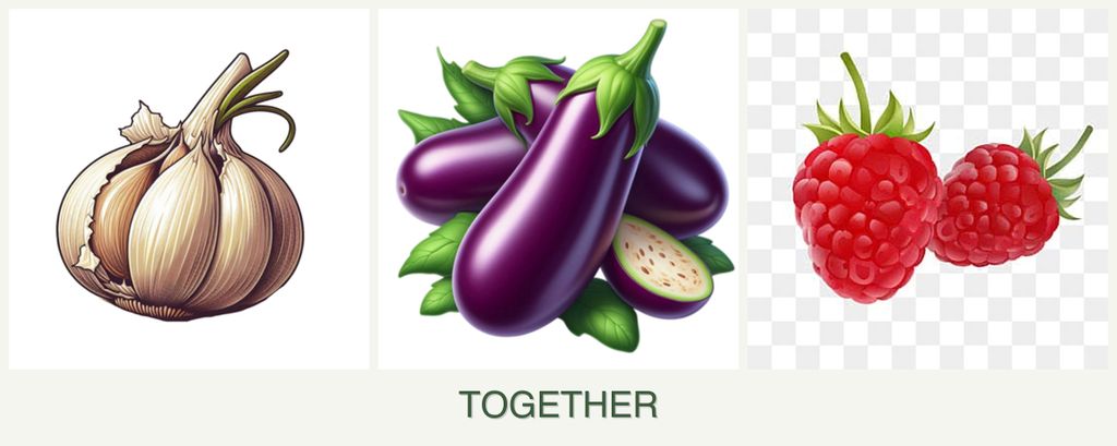 Can you plant garlic, eggplant and raspberries together?