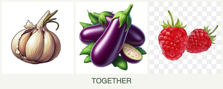 Can you plant garlic, eggplant and raspberries together?