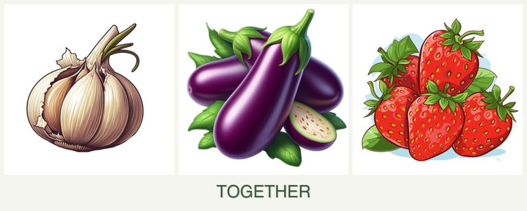 Can you plant garlic, eggplant and strawberries together?
