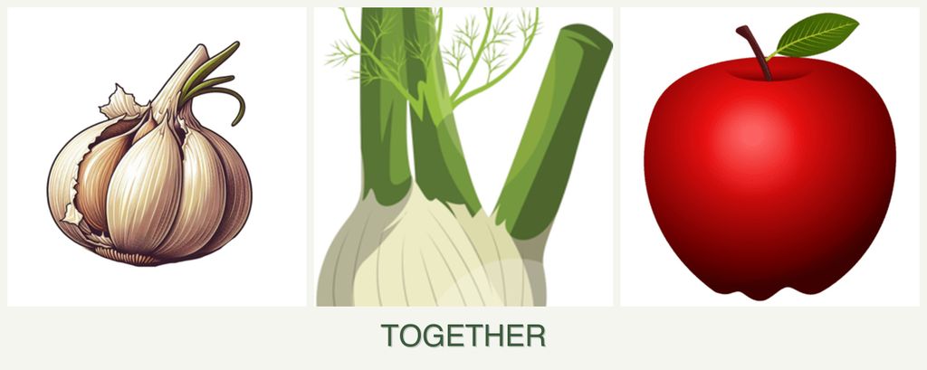 Can you plant garlic, fennel and apples together?