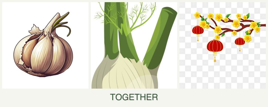 Can you plant garlic, fennel and apricots together?